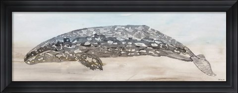 Framed Whale Color II Print
