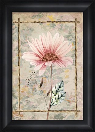Framed Wildflowers III Print