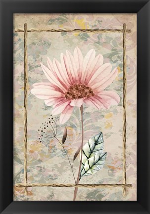 Framed Wildflowers III Print