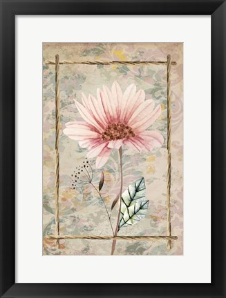 Framed Wildflowers III Print