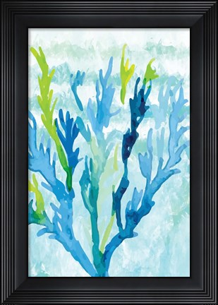 Framed Coral Print
