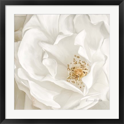 Framed Neutral Rose No. 3 Print