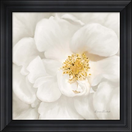 Framed Neutral Rose No. 4 Print