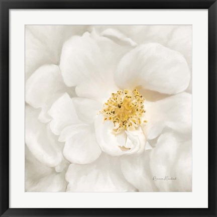 Framed Neutral Rose No. 4 Print