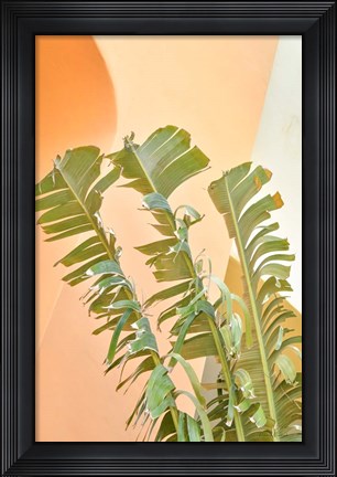 Framed Tropical Dream II Print