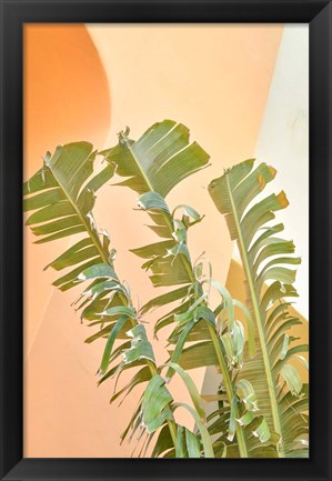 Framed Tropical Dream II Print