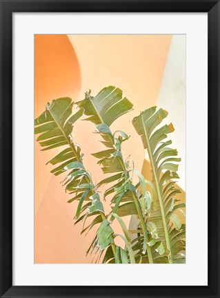 Framed Tropical Dream II Print