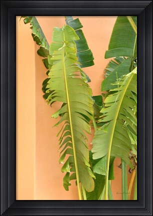 Framed Tropical Dream III Print