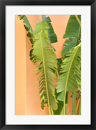 Framed Tropical Dream III Print