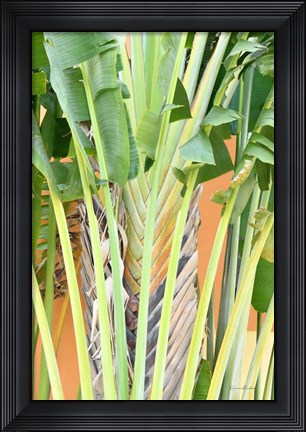 Framed Tropical Dream IV Print