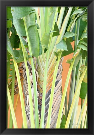 Framed Tropical Dream IV Print