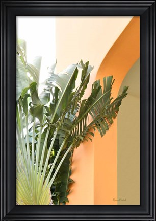Framed Tropical Dream V Print