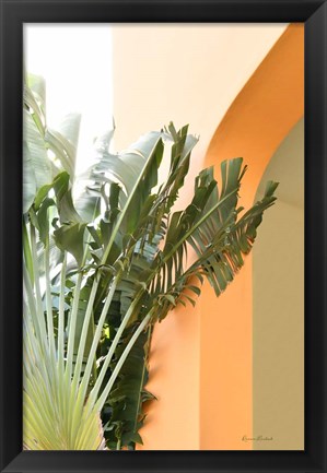 Framed Tropical Dream V Print