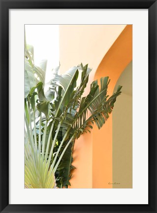 Framed Tropical Dream V Print