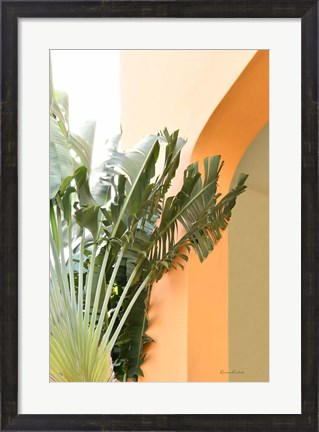 Framed Tropical Dream V Print