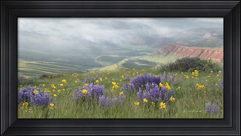 Framed Misty Valley II Print