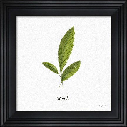 Framed Herbs VII White Print