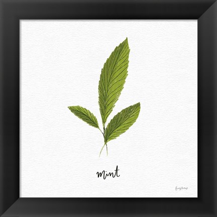 Framed Herbs VII White Print