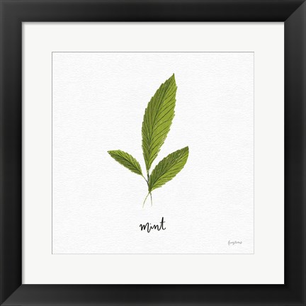 Framed Herbs VII White Print