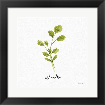 Framed Herbs IV White Print