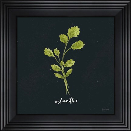 Framed Herbs IV Black Print