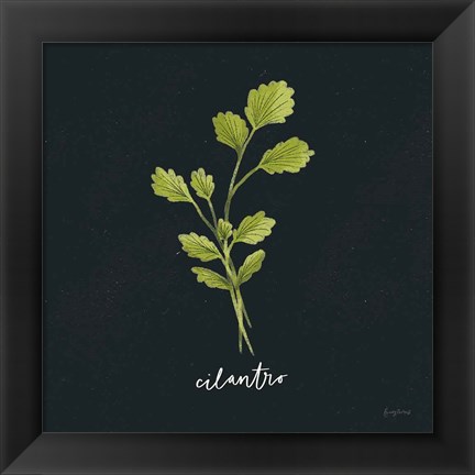 Framed Herbs IV Black Print