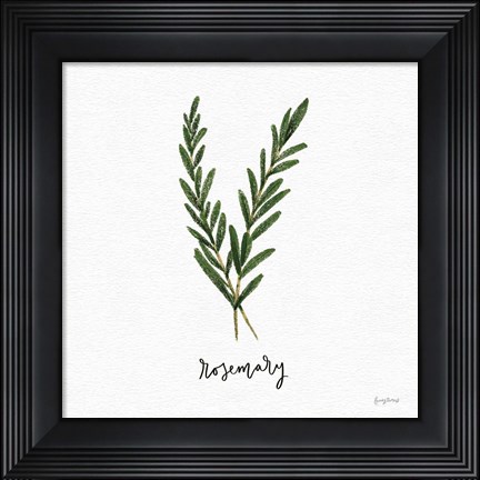 Framed Herbs III White Print