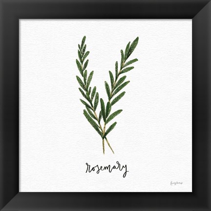 Framed Herbs III White Print