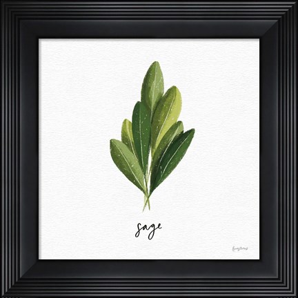 Framed Herbs II White Print