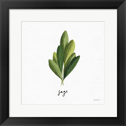 Framed Herbs II White Print