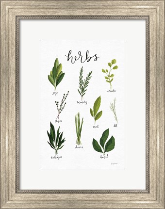 Framed Herbs I White Print