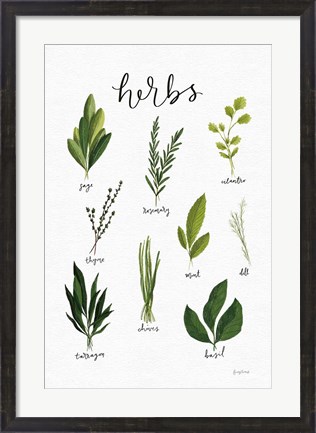 Framed Herbs I White Print