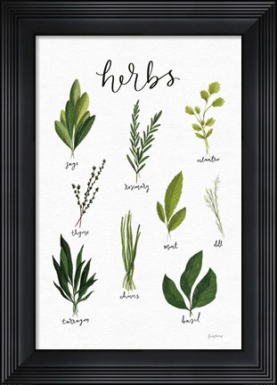 Framed Herbs I White Print