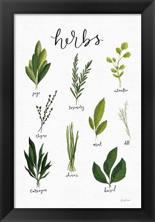 Framed Herbs I White Print