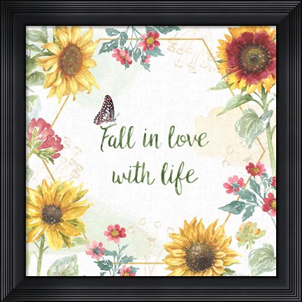 Framed Sunflower Splendor II Print