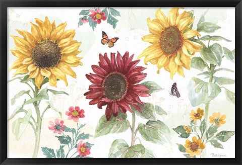 Framed Sunflower Splendor IV Print