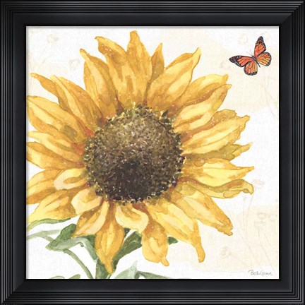 Framed Sunflower Splendor IX Print