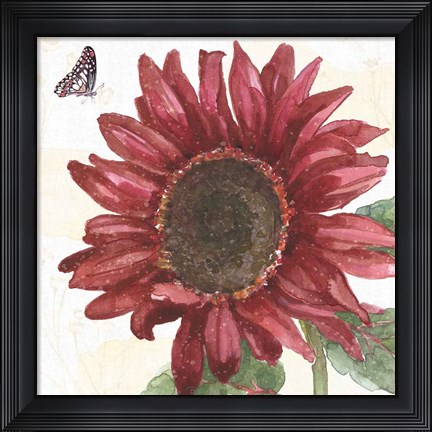 Framed Sunflower Splendor X Print
