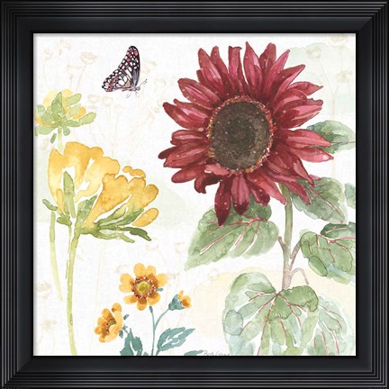 Framed Sunflower Splendor VI Print