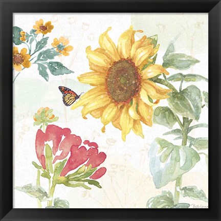 Framed Sunflower Splendor VIII Print