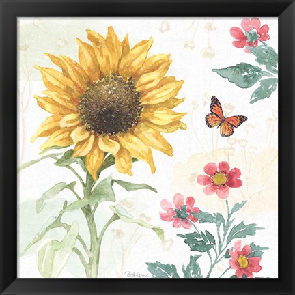 Framed Sunflower Splendor V Print