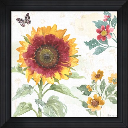 Framed Sunflower Splendor VII Print