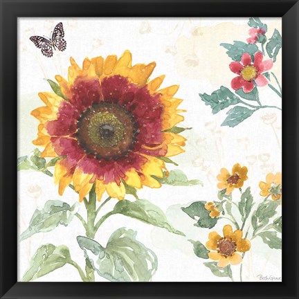 Framed Sunflower Splendor VII Print