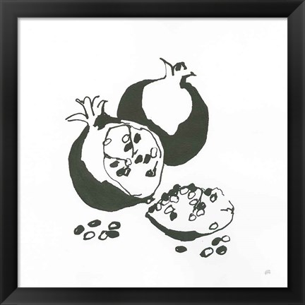 Framed Pomegranate II BW Print