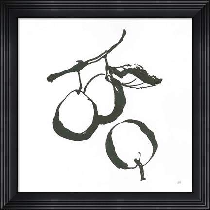 Framed Plums II BW Print