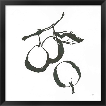 Framed Plums II BW Print