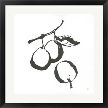 Framed Plums II BW Print