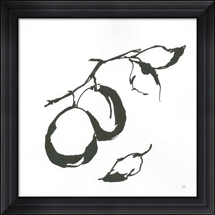 Framed Plums I BW Print