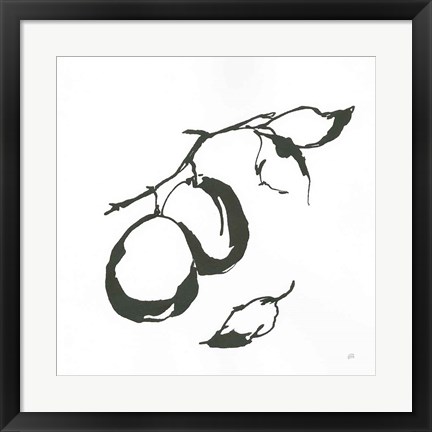 Framed Plums I BW Print