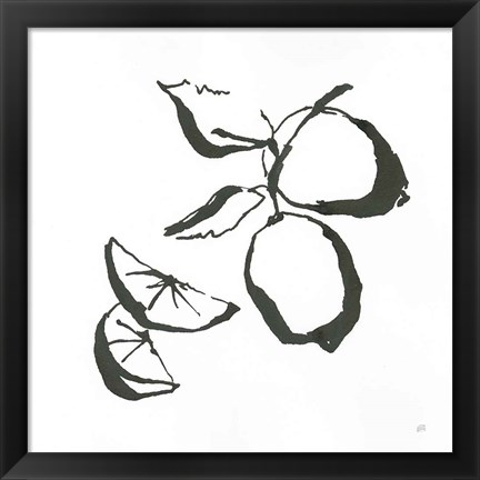 Framed Limes BW Print